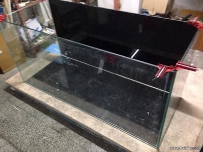 紅龍魚的分類及圖片大全，紅龍魚分類及圖片大全