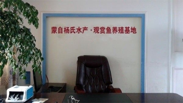 蒙自龍魚養(yǎng)殖基地是否養(yǎng)殖龍魚？，云南蒙自市吉合水產(chǎn)養(yǎng)殖基地養(yǎng)殖基地：蒙自龍魚養(yǎng)殖技巧