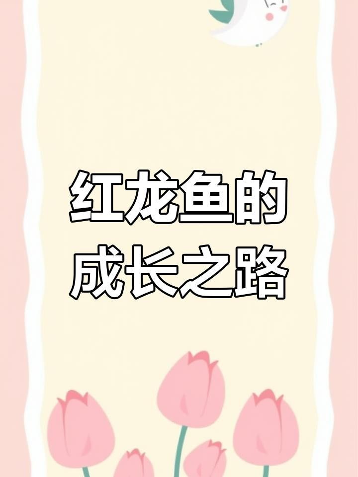 紅龍魚苗一年能長多大？，紅龍魚一年能長多大