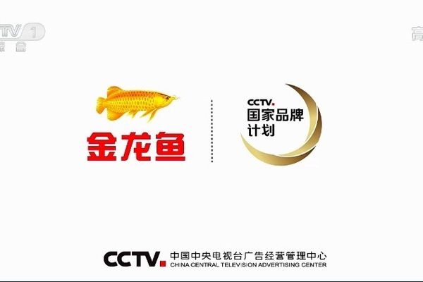 咸陽魚缸市場的兒子，程雨來出國躲藏技術(shù)，，《老娘地攤》中的程大娘的故事