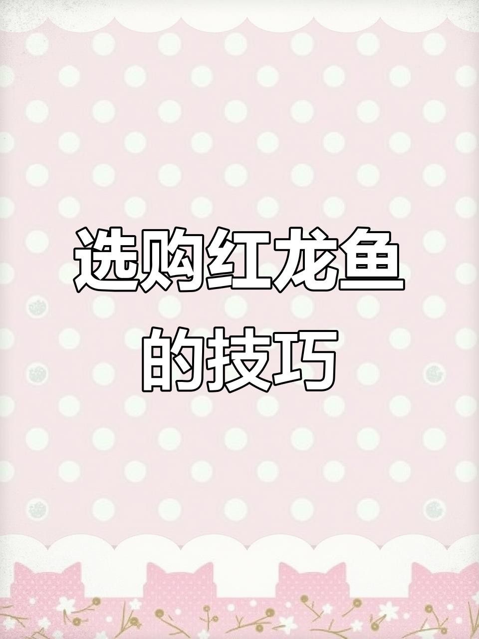 紅龍魚的正確飼養(yǎng)方法，安國紅龍魚的養(yǎng)殖技巧:如何挑選純種小紅龍魚尾巴 紅龍魚的正確飼養(yǎng)方法，安國紅龍魚的養(yǎng)殖技巧:如何挑選純種小紅龍魚尾巴 觀賞魚百科 第3張