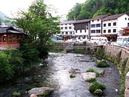 祥龍漁場的龍魚芯片如何掃描？，祥龍漁場龍魚芯片掃描方法 祥龍漁場的龍魚芯片如何掃描？，祥龍漁場龍魚芯片掃描方法 龍魚百科 第2張