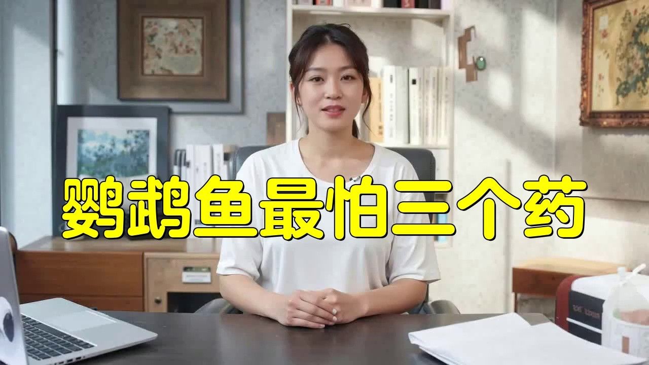 鸚鵡魚白點病最怕三個東西，萌寵保姆,01:55，財神鸚鵡魚最怕三個東西萌寵保姆鸚鵡魚最怕三個藥萌寵保姆