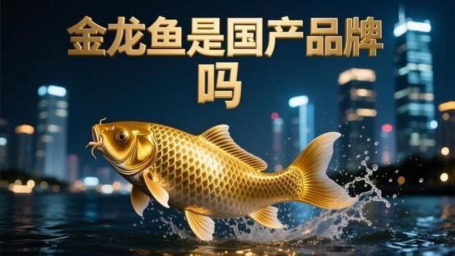 金龍魚是雜牌嗎？，<strong><mark>安康</mark></strong>金龍魚屬于雜牌嗎？