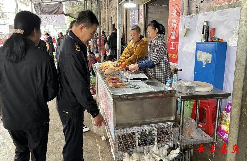 嘉魚龍魚的飼養(yǎng)技巧，養(yǎng)龍魚真的能帶來好運嗎