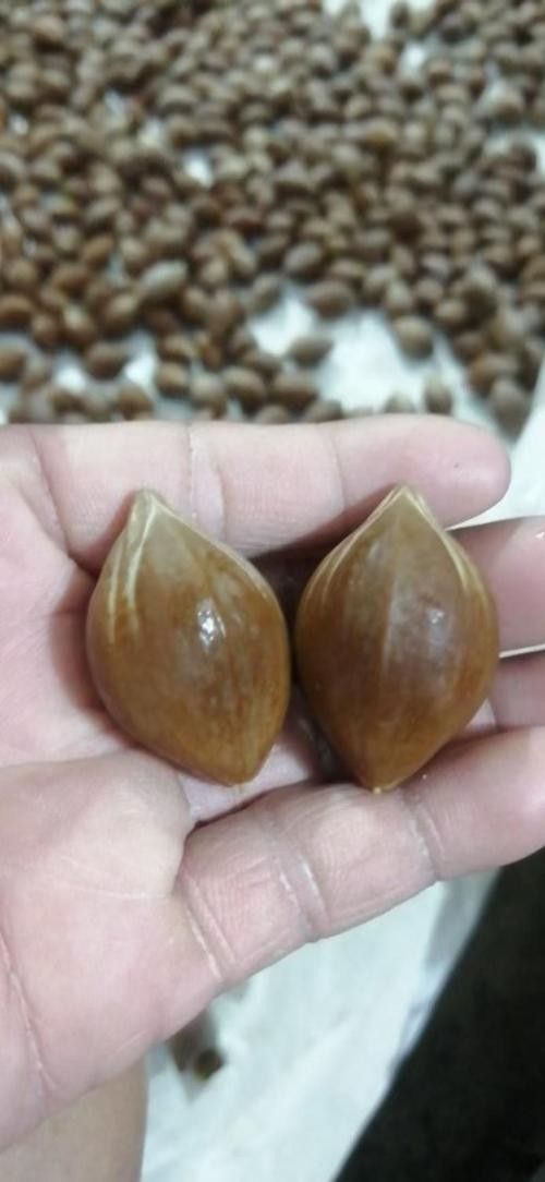 德慶縣的特產有哪些？，廣東省肇慶市德慶縣最具代表性的特產及相關信息