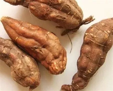 德慶縣的特產有哪些？，廣東省肇慶市德慶縣最具代表性的特產及相關信息