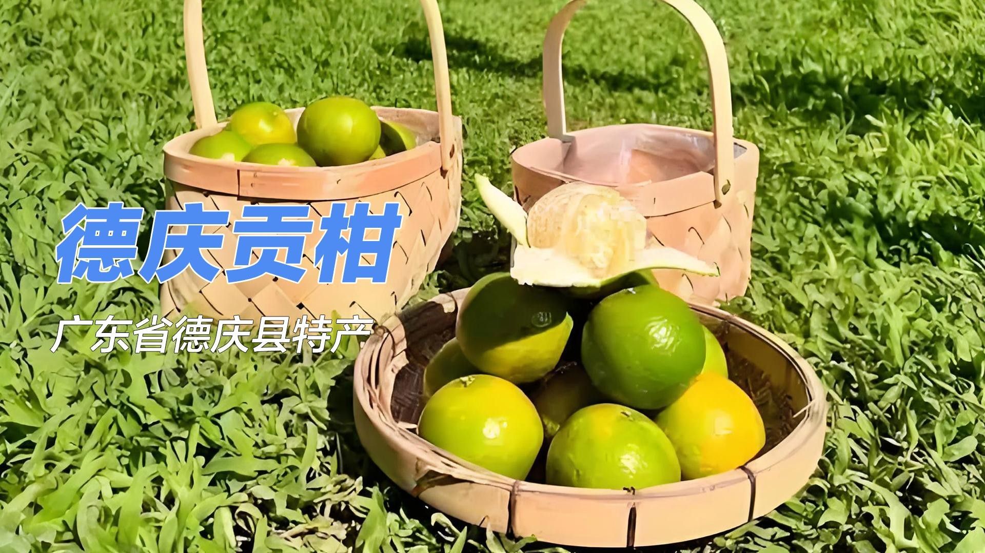 德慶縣的特產有哪些？，廣東省肇慶市德慶縣最具代表性的特產及相關信息