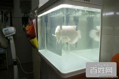 濟南二手魚缸在濟南二手魚缸哪里有暖風(fēng)水箱在哪里賣的，二手魚缸的購買
