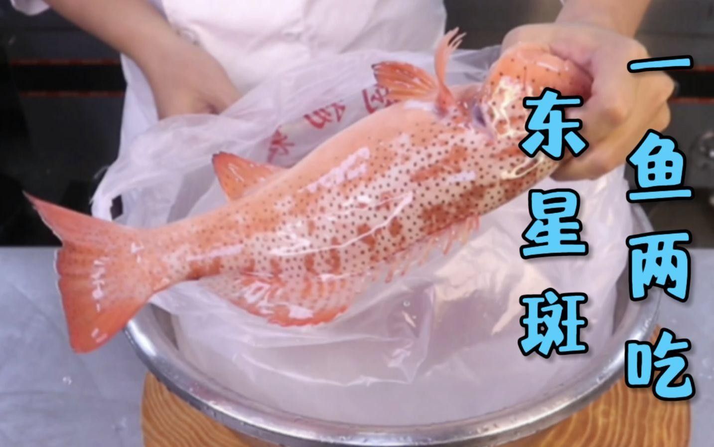 眼斑魚的最佳烹飪方法是什么眼斑魚的最佳烹飪方法是什么，眼斑魚有哪些營養價值？