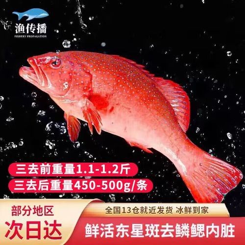 眼斑魚的最佳烹飪方法是什么眼斑魚的最佳烹飪方法是什么，眼斑魚有哪些營養價值？