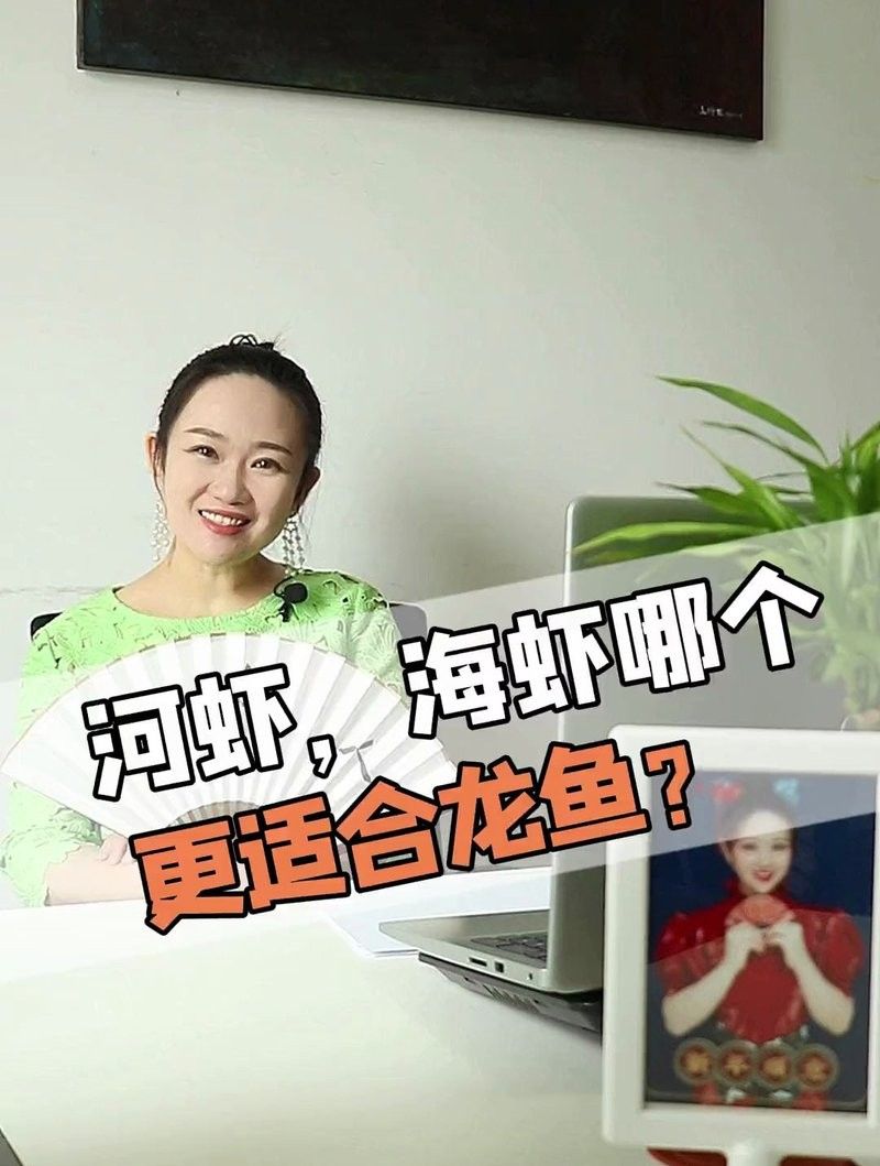 龍魚可以吃海蝦嗎，龍魚吃海蝦需要注意哪些問題，關(guān)于龍魚可以吃海蝦的問題