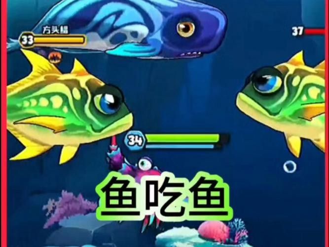龍魚可以吃海蝦嗎，龍魚吃海蝦需要注意哪些問題，關(guān)于龍魚可以吃海蝦的問題