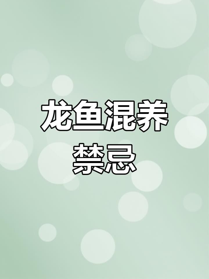 崗子龍魚的最佳配魚有哪些？，崗子龍魚最忌三種魚，混養(yǎng)時最需要謹慎對待三種魚