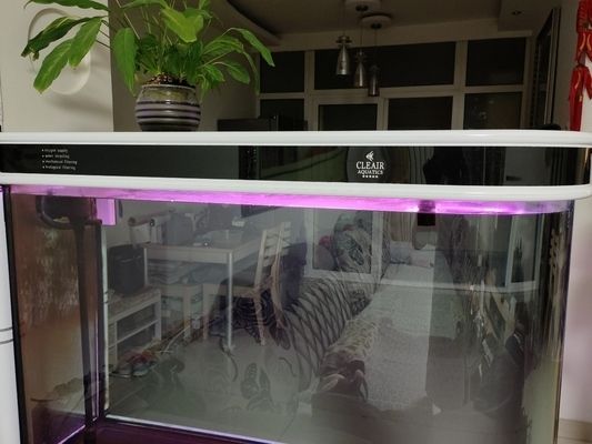 廣州芳村花鳥魚蟲市場已經(jīng)搬到荔灣芳村花鳥魚蟲市場搬了嗎，廣州花地灣花鳥魚蟲市場已經(jīng)搬到廣州花鳥博覽園內(nèi)