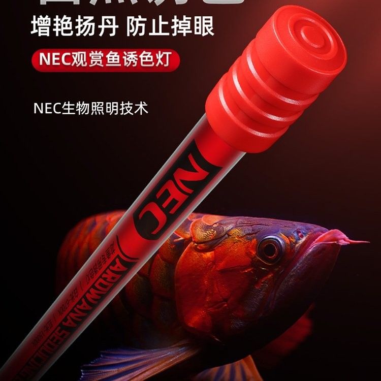 龍魚發色專用燈選擇要點和主流產品推薦龍魚發色燈，龍魚發色專用燈品牌及代表性代表性產品推薦