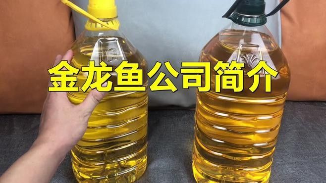 金龍魚是哪里的品牌創新視界，揭秘金龍魚背后的跨國企業新浪財經集團介紹