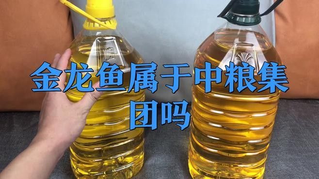 金龍魚是哪里的品牌創新視界，揭秘金龍魚背后的跨國企業新浪財經集團介紹