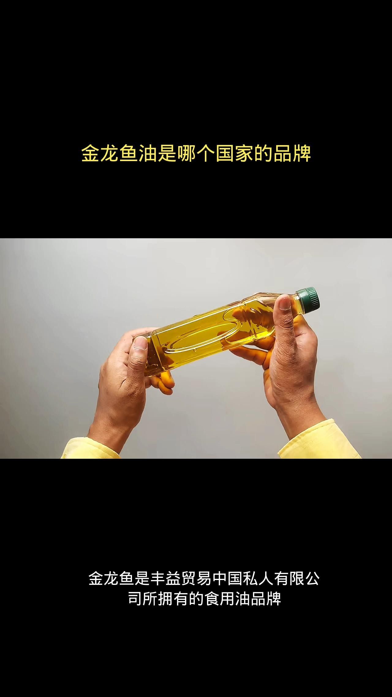金龍魚是哪里的品牌創新視界，揭秘金龍魚背后的跨國企業新浪財經集團介紹