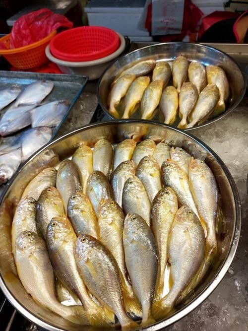 廣東沿海地區的一大特產海鮮，臺山生蠔新鮮出爐，金黃酥脆讓人停不下來，臺山特產海鮮有哪些？