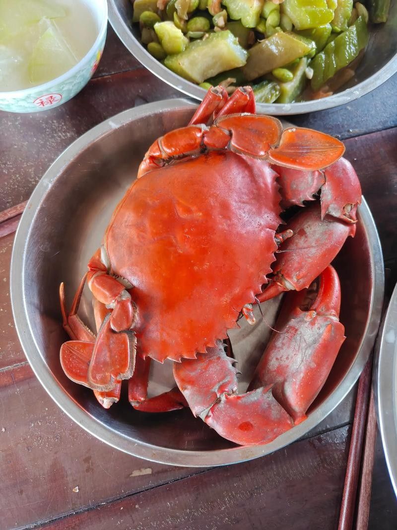 廣東沿海地區的一大特產海鮮，臺山生蠔新鮮出爐，金黃酥脆讓人停不下來，臺山特產海鮮有哪些？