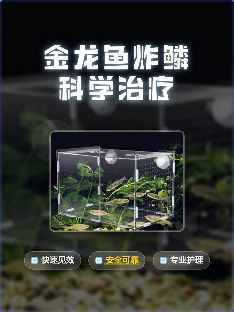 龍魚炸鱗怎么治療金龍魚炸鱗治療方法匯總奇思妙想寵物錄，如何治療金龍魚炸鱗