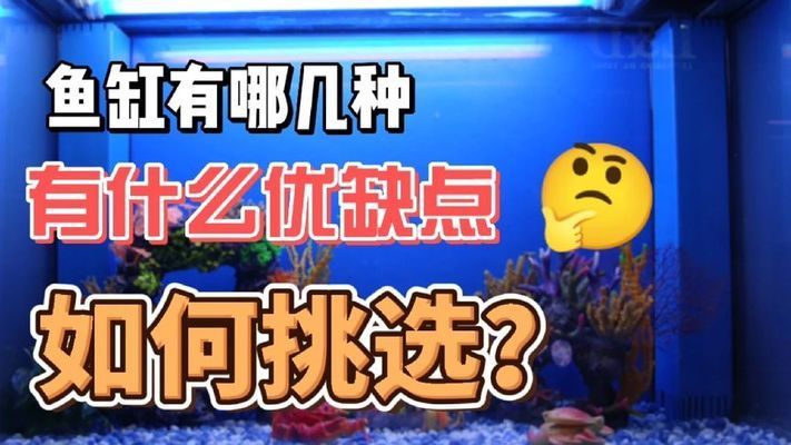 龍魚身上長霉菌怎么辦，，龍魚膚霉病和身上長霉菌的重要措施