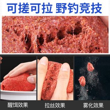 重慶地區適合養的觀賞魚品種大全圖，觀賞魚品種大全圖，重慶地區適合養哪些觀賞魚？