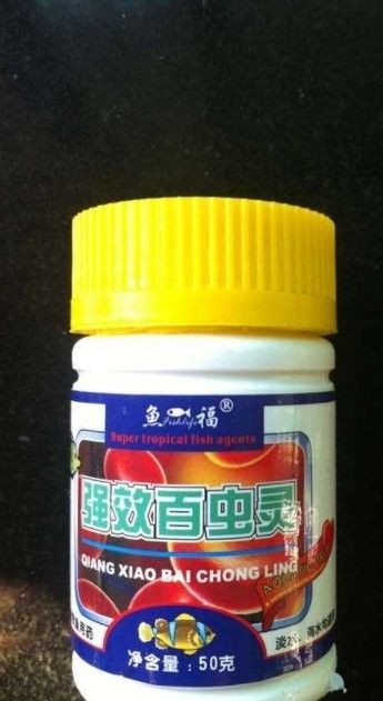 龍魚吃活泥鰍的利與弊，微信公眾平臺龍魚吃活泥鰍給龍魚別這樣做養龍大神是這樣處理的