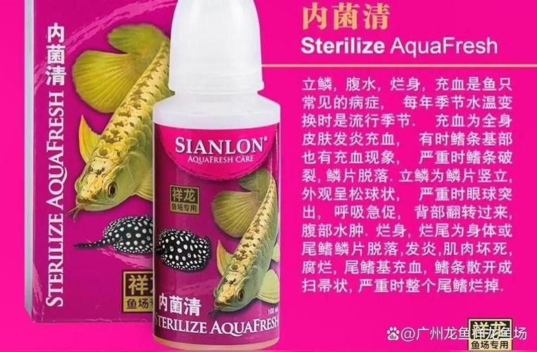 祥龍魚場的龍魚價格是多少祥龍魚場的龍魚價格是多少，廣州龍魚批發市場探訪:祥龍魚場40年專注龍魚批發愛奇藝