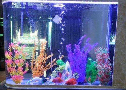 福州魚缸廠家直銷店，，福州魚缸廠家直銷店