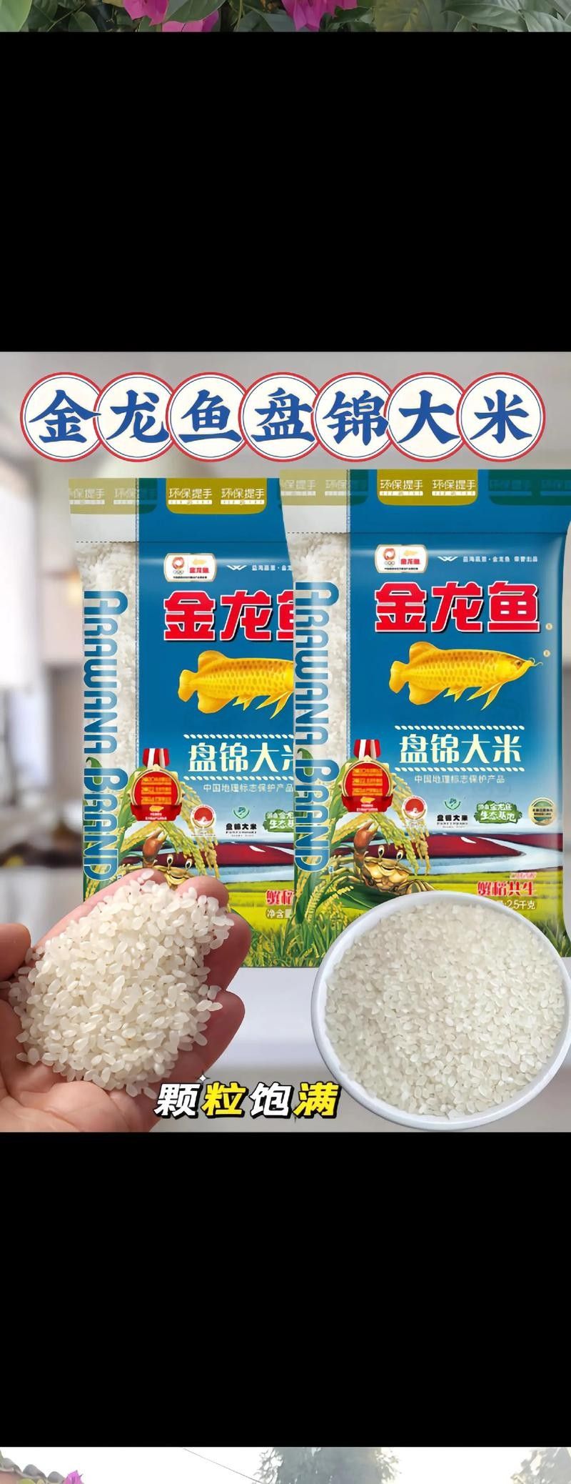 金龍魚有哪些高端系列？，<strong><mark>武邑</mark></strong>金龍魚在國內屬于中高端檔次