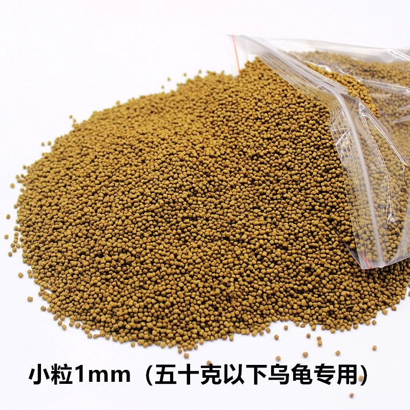 龍巔魚鄰采訪譽(yù)榮水族，和田水族館展會(huì)現(xiàn)場(chǎng)直擊