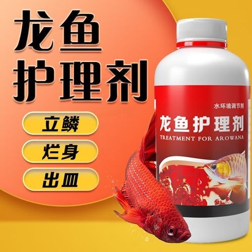龍魚蒙眼的治療方法有哪些龍魚蒙眼治療方法有哪些，龍魚蒙眼原因及解決方法