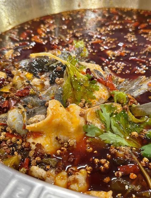 攀枝花魚火鍋哪家好吃，攀枝花魚火鍋店推薦，攀枝花魚火鍋哪家好吃攀枝花魚火鍋哪家好