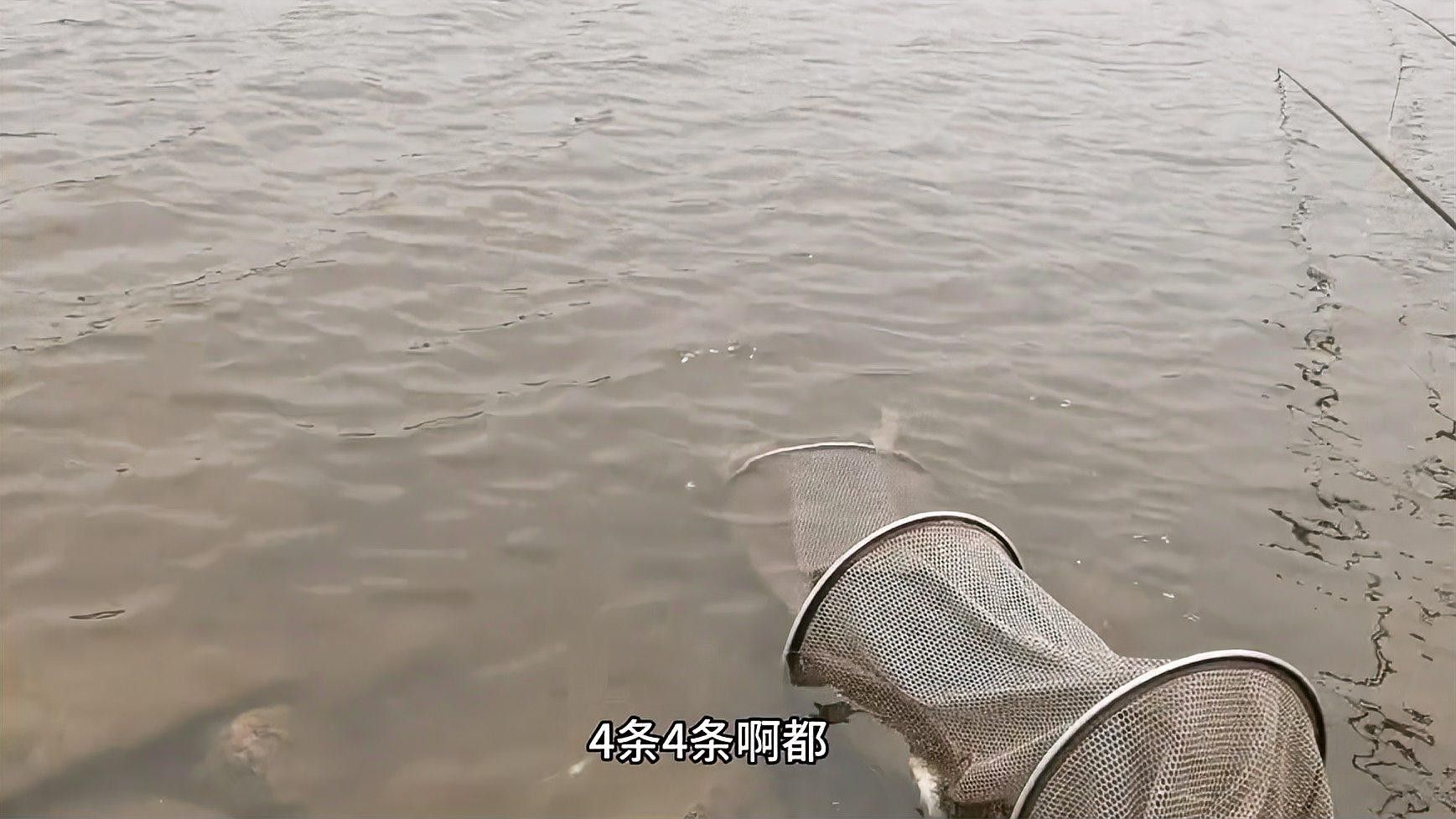 釣開江魚需要掌握的技巧和方法和技巧和技巧和技巧，開江魚的垂釣技巧