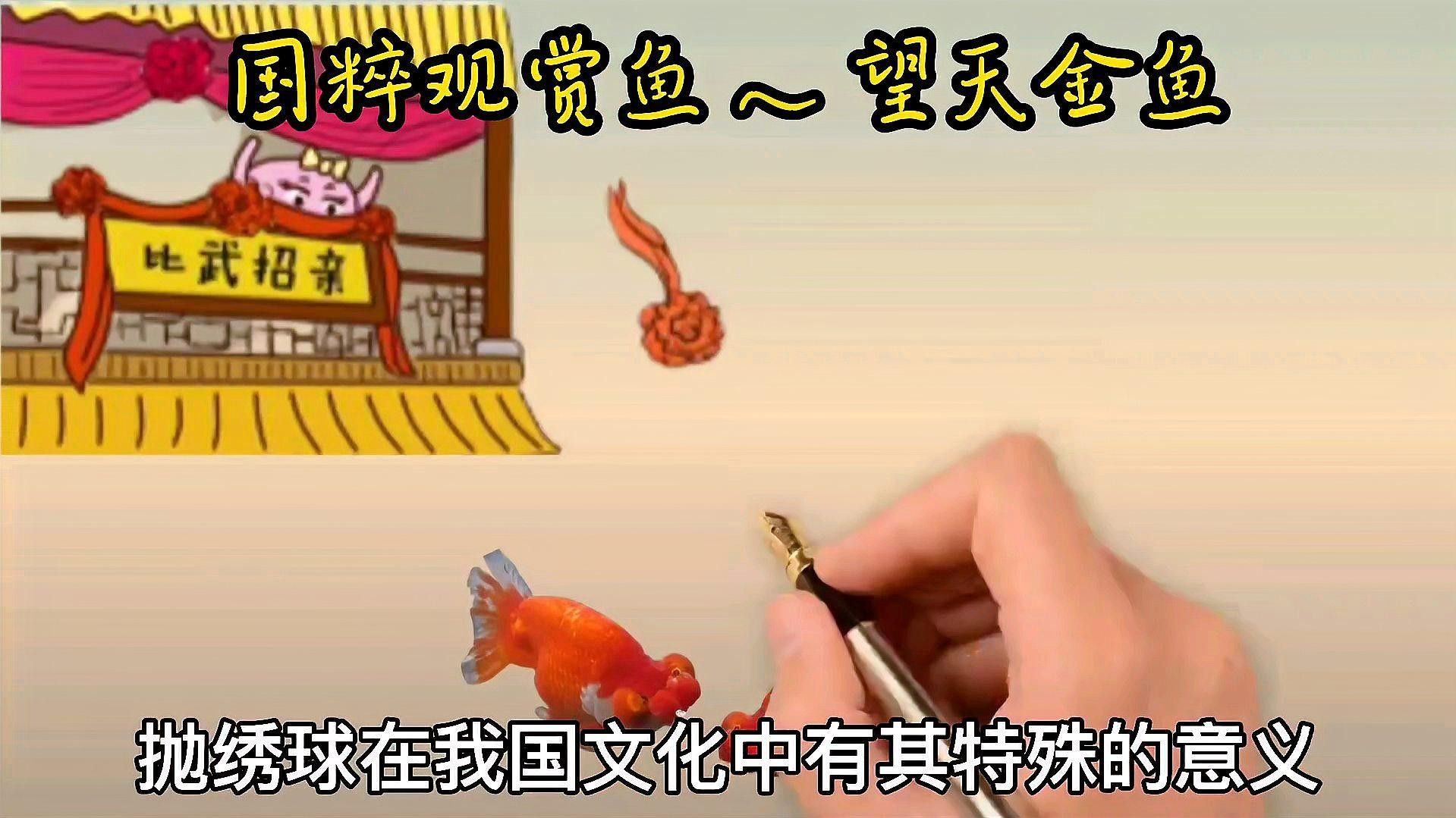 <strong><mark>朝天</mark></strong>龍魚的養殖技術，<strong><mark>朝天</mark></strong>龍魚在哪些地區常見，<strong><mark>朝天</mark></strong>龍魚的養殖技巧是什么