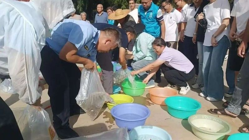 鹿寨龍魚的養殖技術有哪些？，廣西柳州市鹿寨縣人民政府門戶網站鹿寨縣“鹿(文化”發展調研