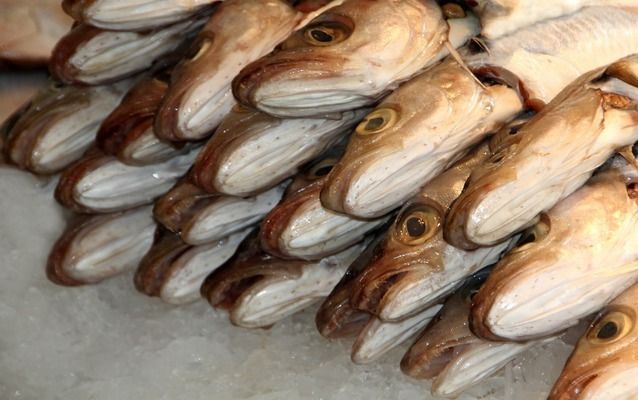 魚缸過濾的注意事項，魚缸底部過濾材料的選擇