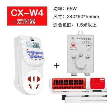 南寧觀賞魚市場，個(gè)個(gè)角度拍下看看，南寧觀賞魚市場個(gè)個(gè)角度拍下看看黃金河虎和龍魚混養(yǎng)嗎