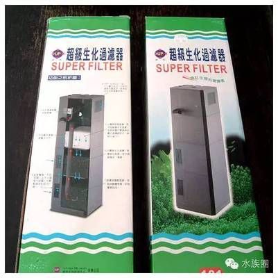 魚缸種植水草的注意事項，小型魚缸種植水草的基本步驟：種植水草的基本步驟