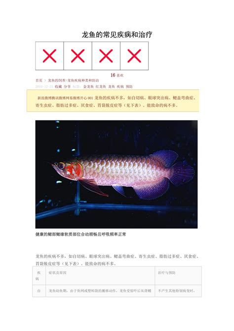 龍魚（arowana）生病后的存活時間詳細拆解，關于龍魚生病后的存活時間