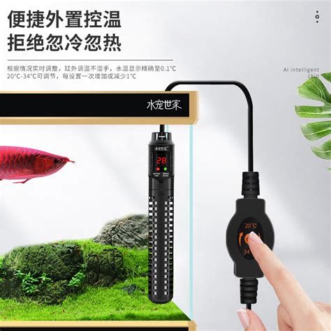 龍魚升溫到多少度最有利于恢復(fù)？，龍魚恢復(fù)期升溫指南