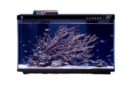 26度水溫對龍魚有哪些具體好處？，6度水溫對龍魚的好處