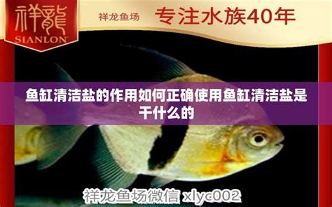 龍魚鹽放多了如何快速恢復？，龍魚鹽放多了如何快速恢復