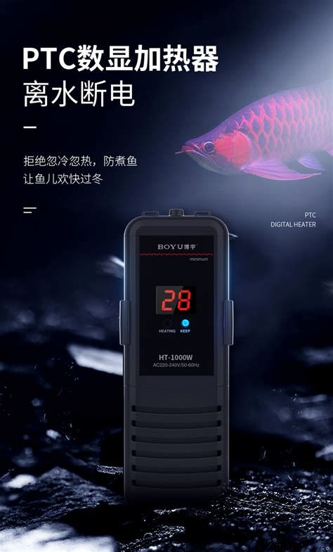 龍魚換水時如何調整水溫？，關于龍魚換水時如何調整水溫的詳細操作指南