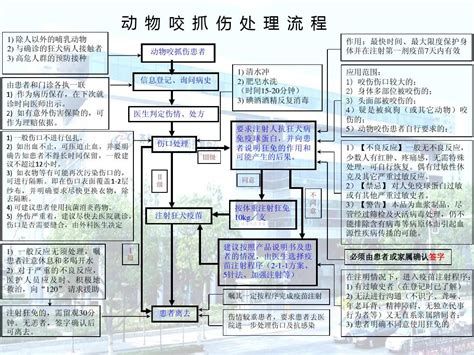 被龍魚咬了如何預防感染？，被龍魚咬傷后的詳細處理指南與后續護理建議
