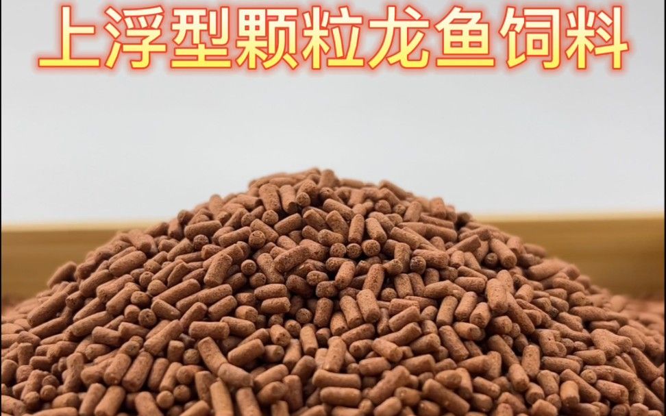 上浮型龍魚飼料有哪些品牌推薦？，上浮型龍魚飼料品牌推薦
