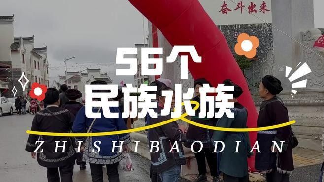 水族的獨特文化與傳統(tǒng)小婷陪你看世界一分鐘了解一個民族嗶哩聽（一分鐘了解一個民族——水族）