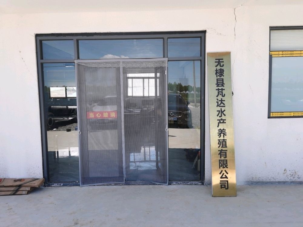 無棣龍魚的市場價格是多少？（無棣龍魚養殖技巧:從食物到水質全攻略全民小視頻）